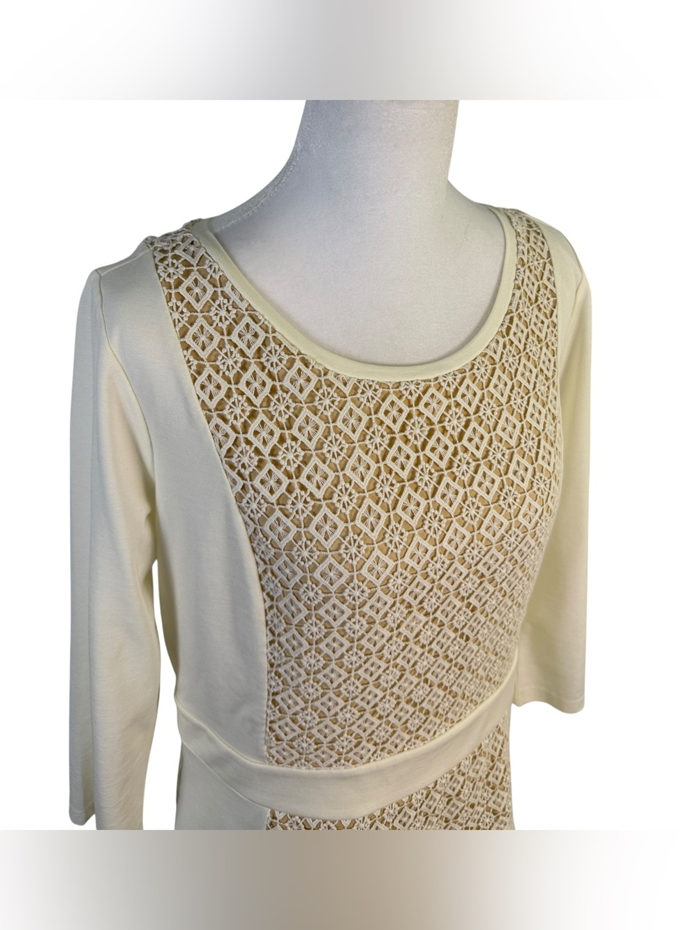 Ann Taylor Cream Lace-Front& Back Mixed‑Media Top With Lace Panel Size M - Picture 6 of 9